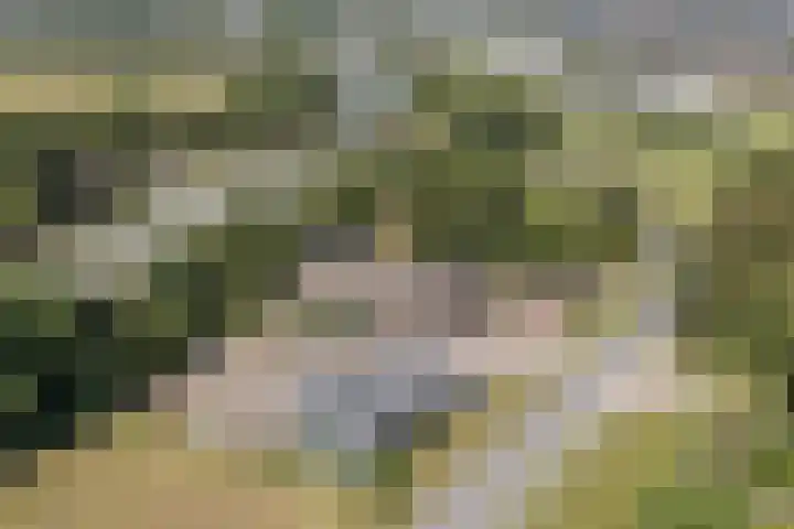Posthoorn 4 Teteringen thumbnail 72