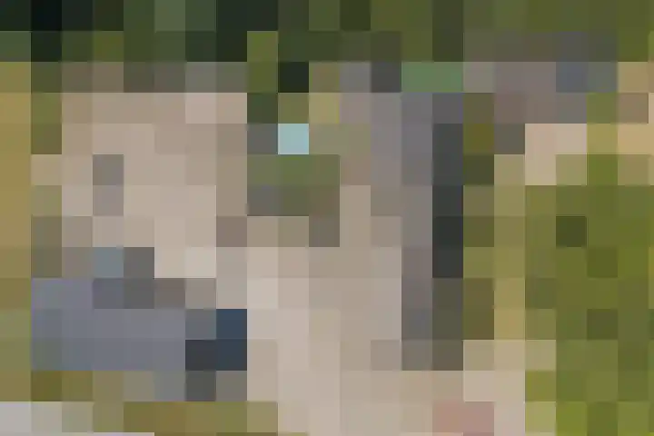 Posthoorn 4 Teteringen thumbnail 74