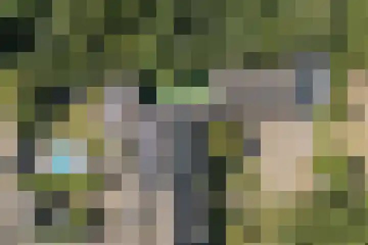 Posthoorn 4 Teteringen thumbnail 75