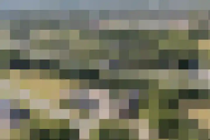 Posthoorn 4 Teteringen thumbnail 77