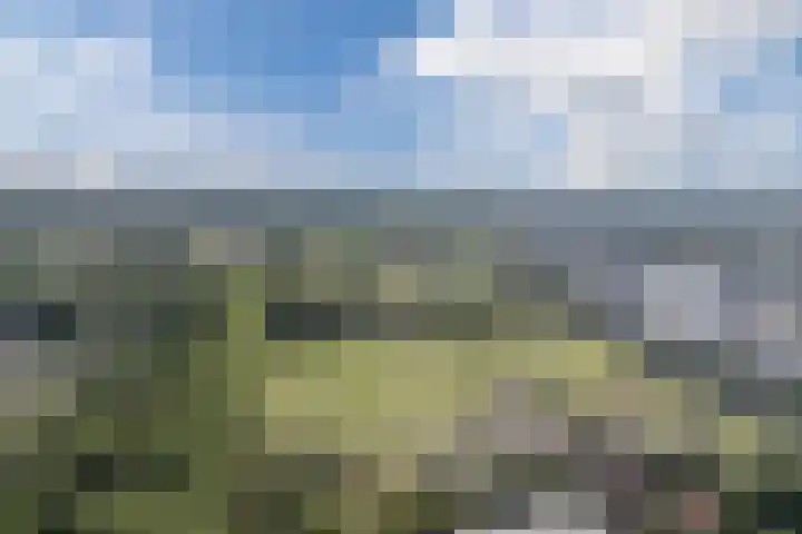Posthoorn 4 Teteringen thumbnail 79