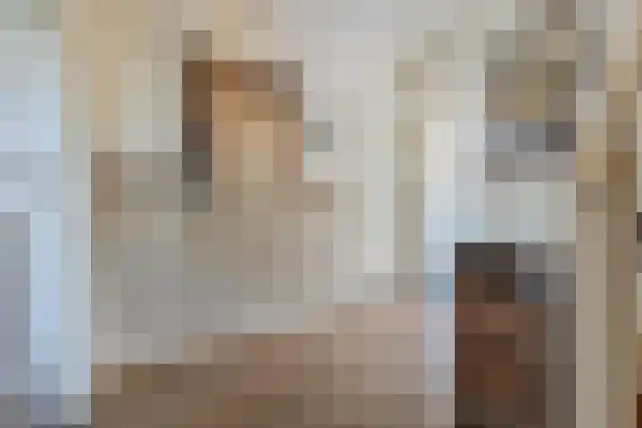 Posthoorn 4 Teteringen thumbnail 8