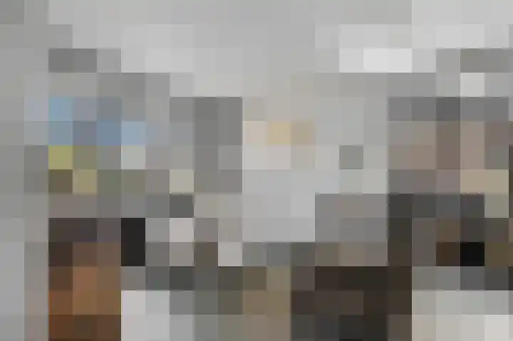 Posthoorn 6 Barger-Compascuum thumbnail 10