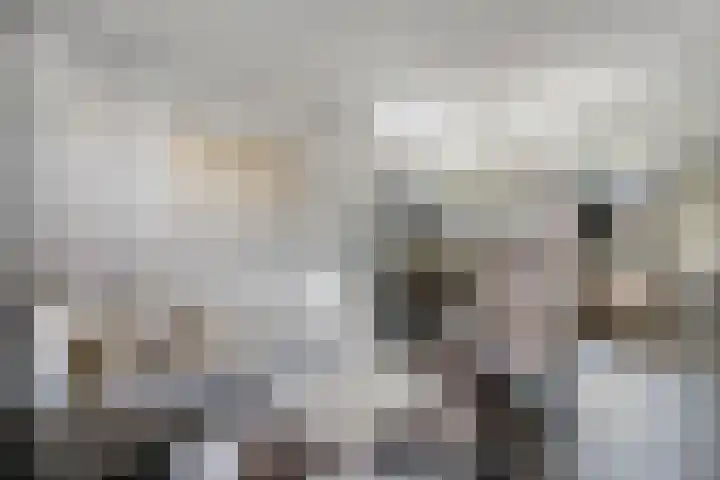 Posthoorn 6 Barger-Compascuum thumbnail 11