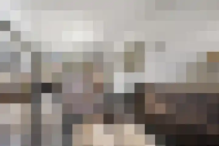 Posthoorn 6 Barger-Compascuum thumbnail 12