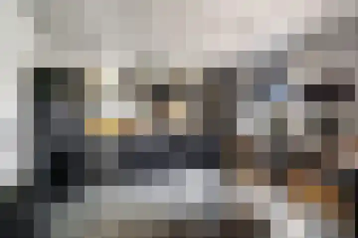 Posthoorn 6 Barger-Compascuum thumbnail 13