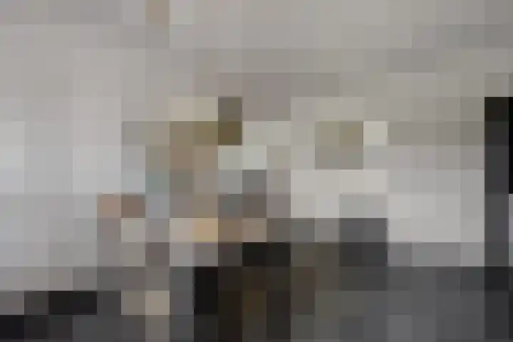 Posthoorn 6 Barger-Compascuum thumbnail 14