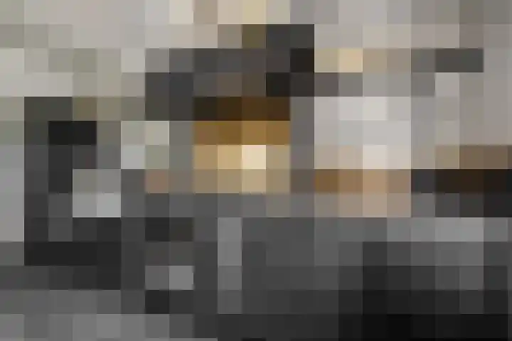 Posthoorn 6 Barger-Compascuum thumbnail 15