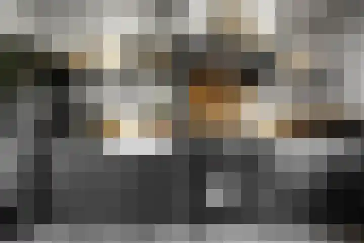 Posthoorn 6 Barger-Compascuum thumbnail 16
