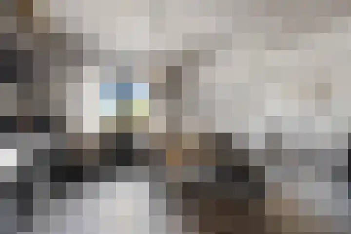 Posthoorn 6 Barger-Compascuum thumbnail 17