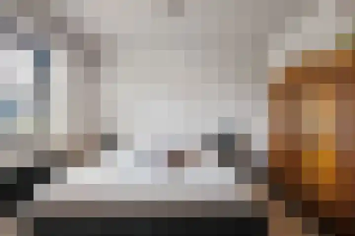 Posthoorn 6 Barger-Compascuum thumbnail 18