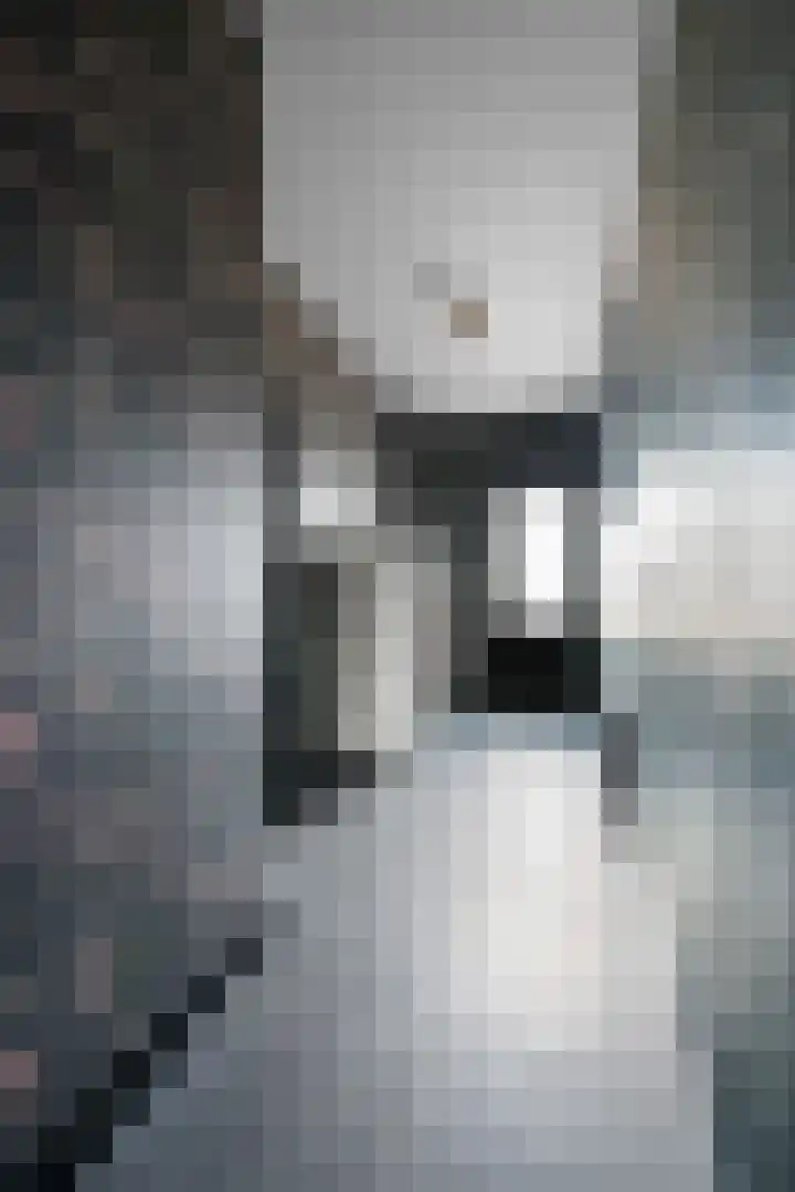 Posthoorn 6 Barger-Compascuum thumbnail 20