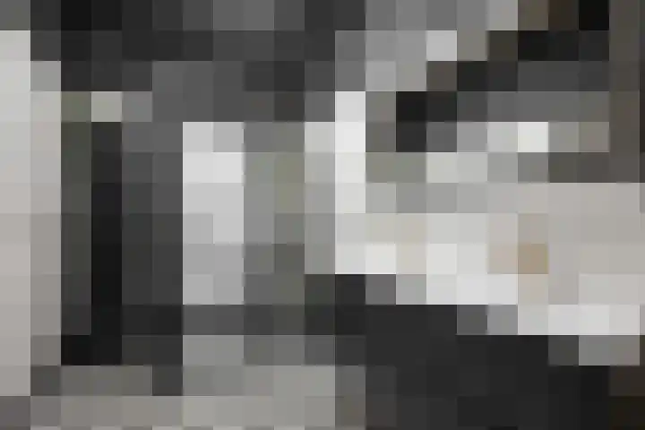 Posthoorn 6 Barger-Compascuum thumbnail 21