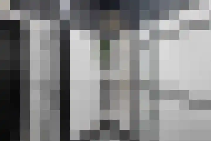 Posthoorn 6 Barger-Compascuum thumbnail 23