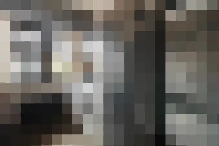 Posthoorn 6 Barger-Compascuum thumbnail 24