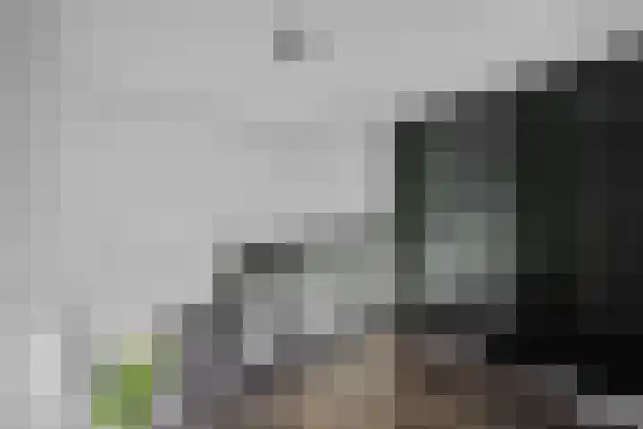 Posthoorn 6 Barger-Compascuum thumbnail 25