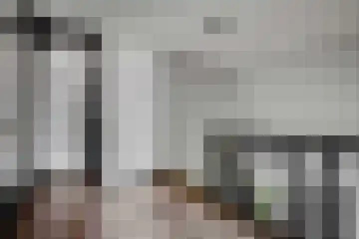Posthoorn 6 Barger-Compascuum thumbnail 26