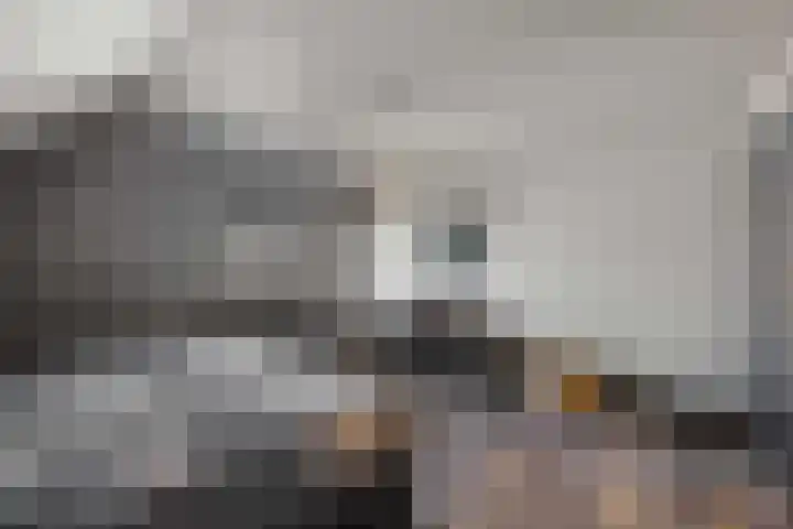 Posthoorn 6 Barger-Compascuum thumbnail 28
