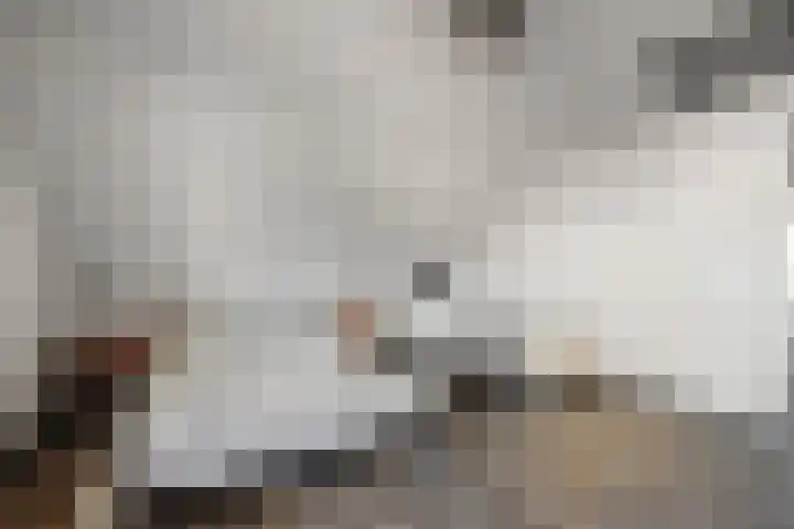 Posthoorn 6 Barger-Compascuum thumbnail 29