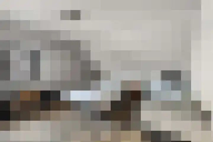 Posthoorn 6 Barger-Compascuum thumbnail 30