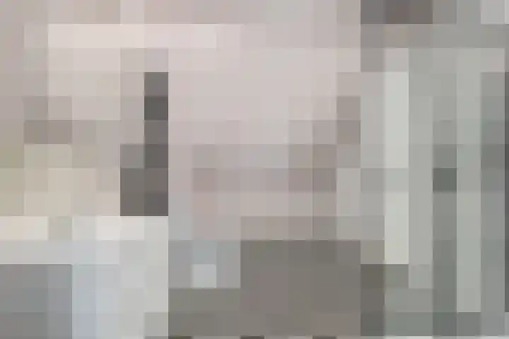 Posthoorn 6 Barger-Compascuum thumbnail 31