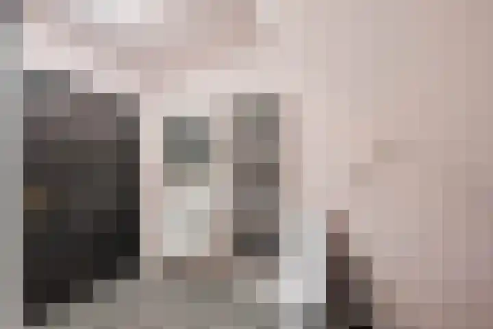 Posthoorn 6 Barger-Compascuum thumbnail 32