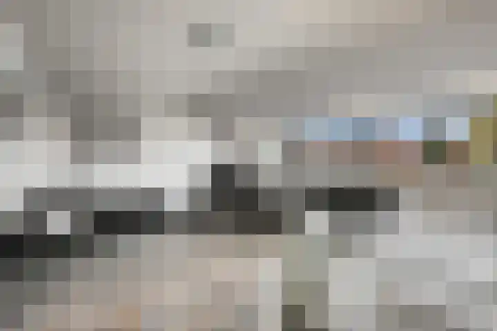 Posthoorn 6 Barger-Compascuum thumbnail 34