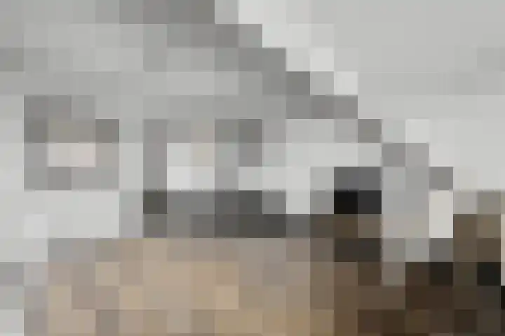 Posthoorn 6 Barger-Compascuum thumbnail 36
