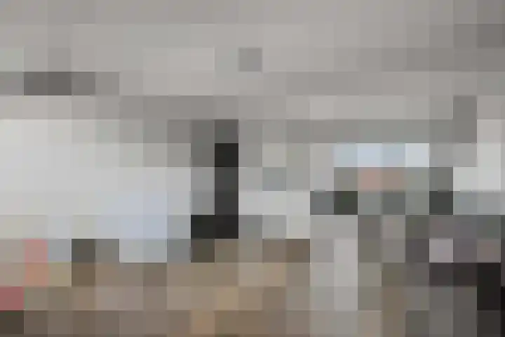 Posthoorn 6 Barger-Compascuum thumbnail 37