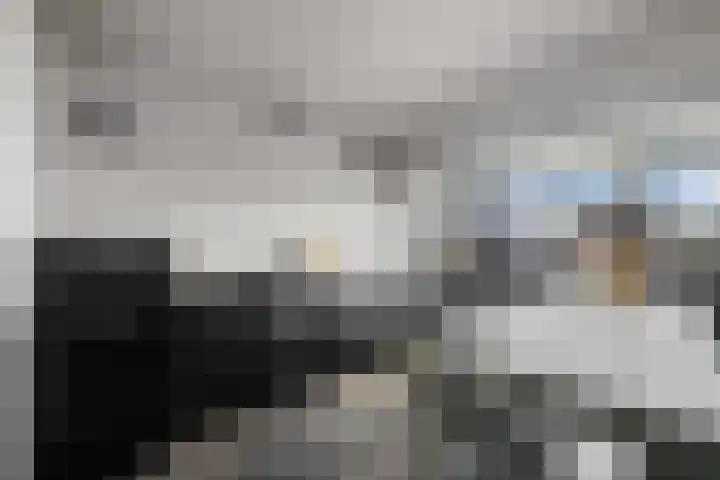 Posthoorn 6 Barger-Compascuum thumbnail 38