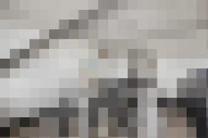 Posthoorn 6 Barger-Compascuum thumbnail 41