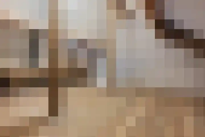 Posthoorn 6 Barger-Compascuum thumbnail 42
