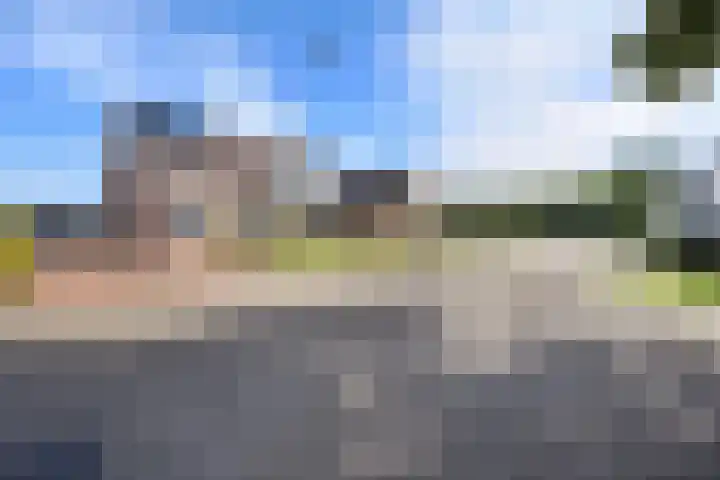 Posthoorn 6 Barger-Compascuum thumbnail 44