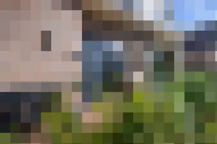 Posthoorn 6 Barger-Compascuum thumbnail 45