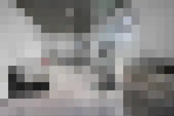 Posthoorn 6 Barger-Compascuum thumbnail 48