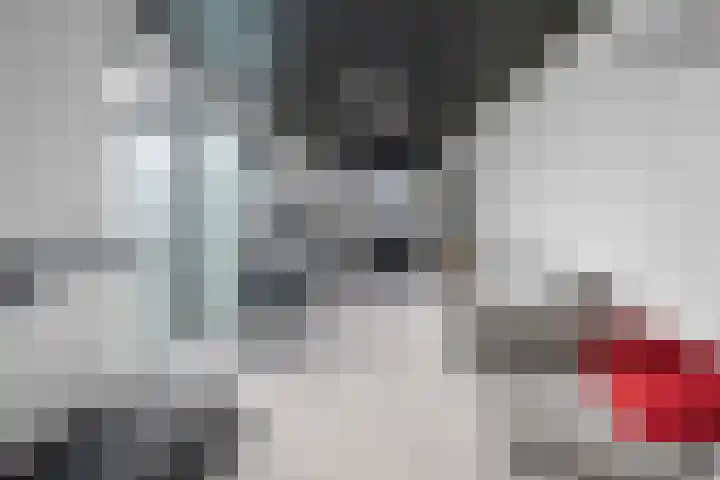 Posthoorn 6 Barger-Compascuum thumbnail 49