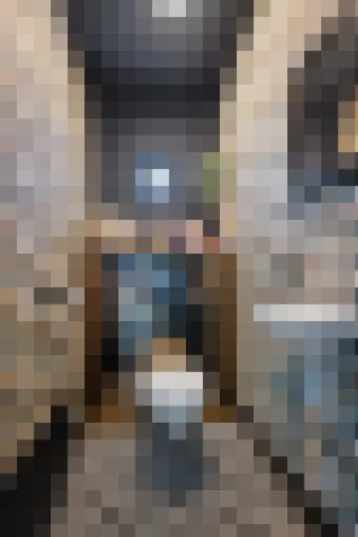 Posthoorn 6 Barger-Compascuum thumbnail 5