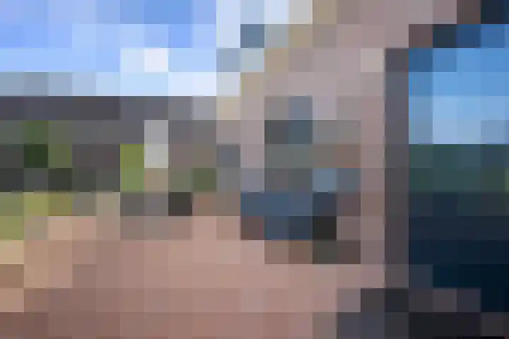 Posthoorn 6 Barger-Compascuum thumbnail 50