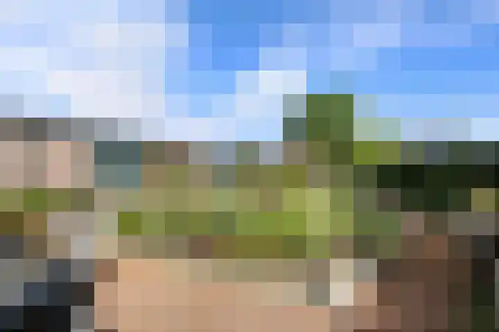 Posthoorn 6 Barger-Compascuum thumbnail 51