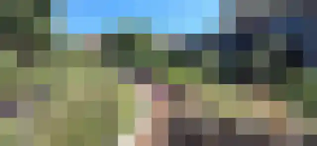 Posthoorn 6 Barger-Compascuum thumbnail 52