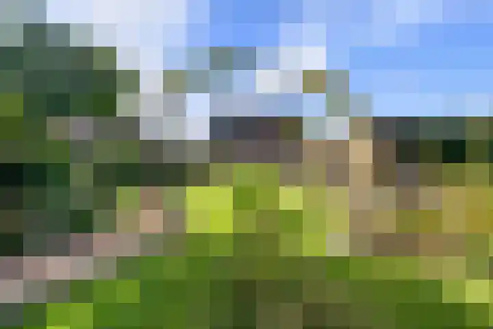 Posthoorn 6 Barger-Compascuum thumbnail 53