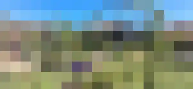 Posthoorn 6 Barger-Compascuum thumbnail 54