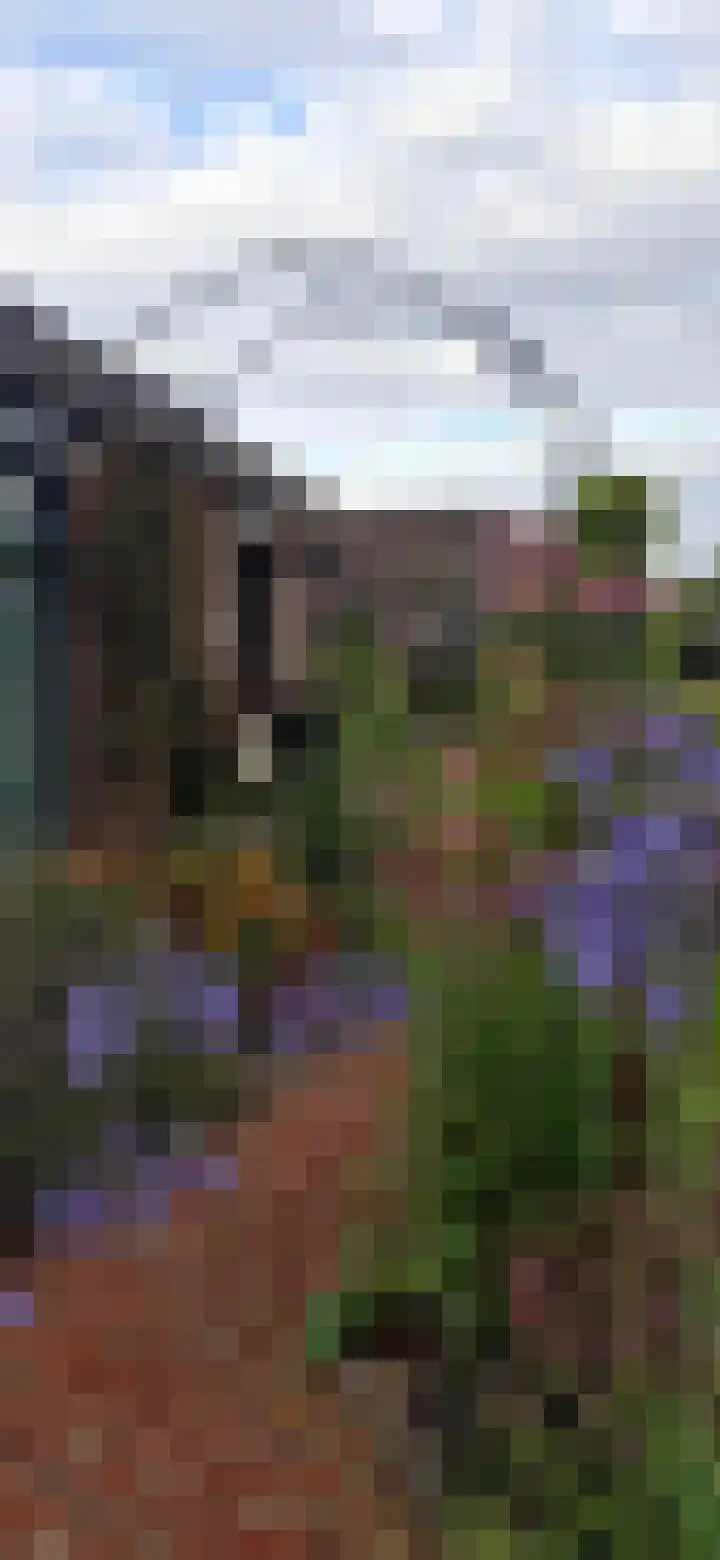 Posthoorn 6 Barger-Compascuum thumbnail 55