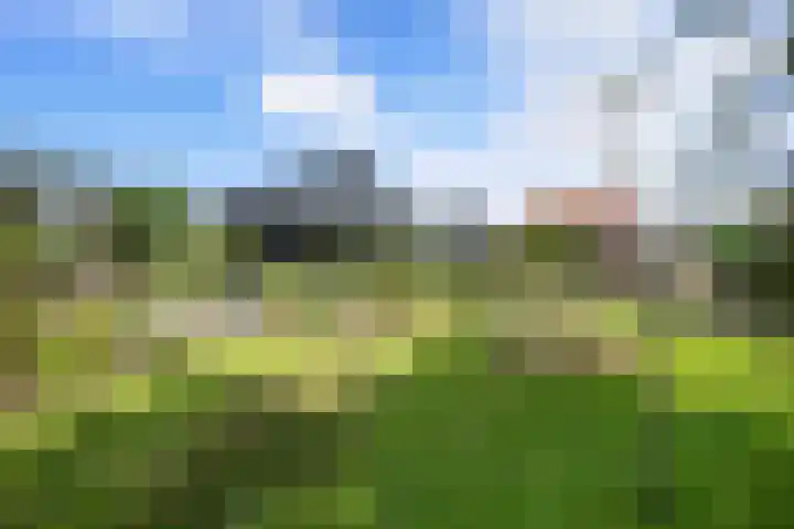 Posthoorn 6 Barger-Compascuum thumbnail 56