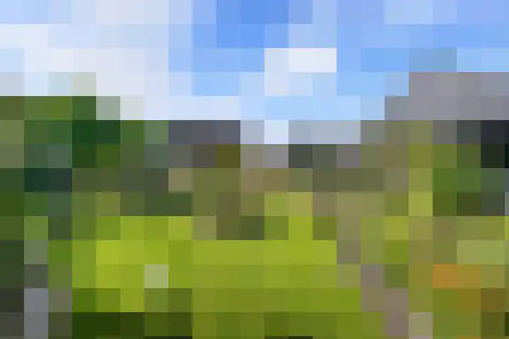 Posthoorn 6 Barger-Compascuum thumbnail 57