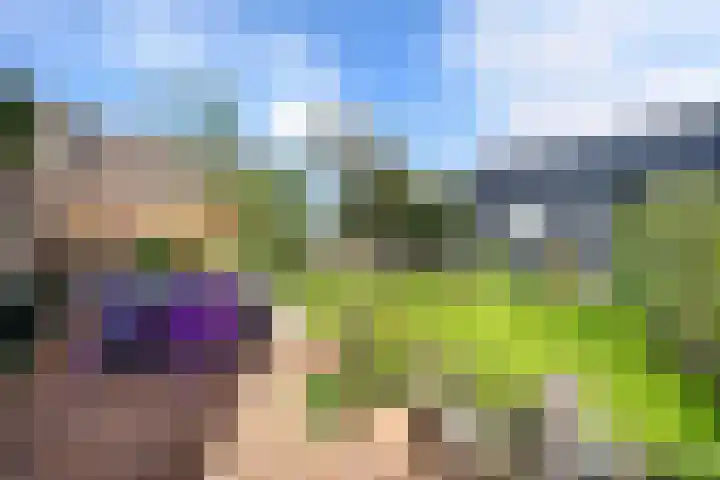 Posthoorn 6 Barger-Compascuum thumbnail 58