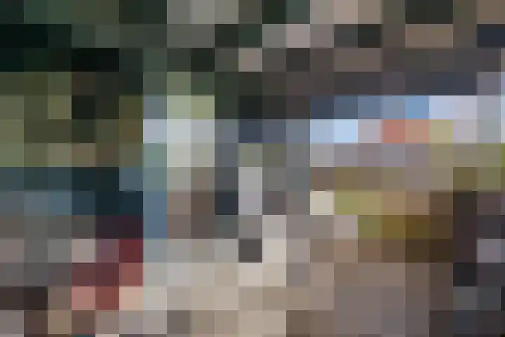Posthoorn 6 Barger-Compascuum thumbnail 59