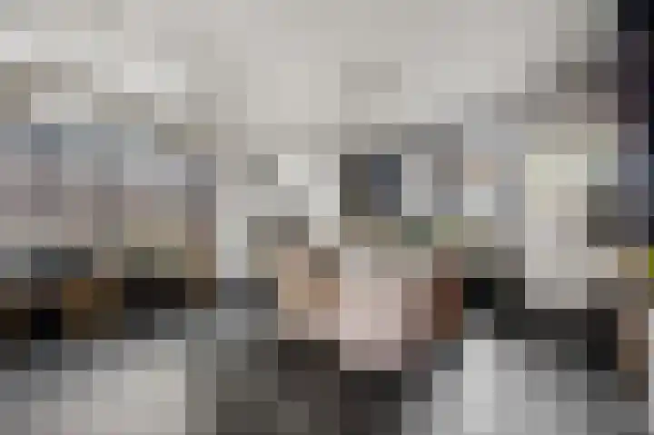Posthoorn 6 Barger-Compascuum thumbnail 6