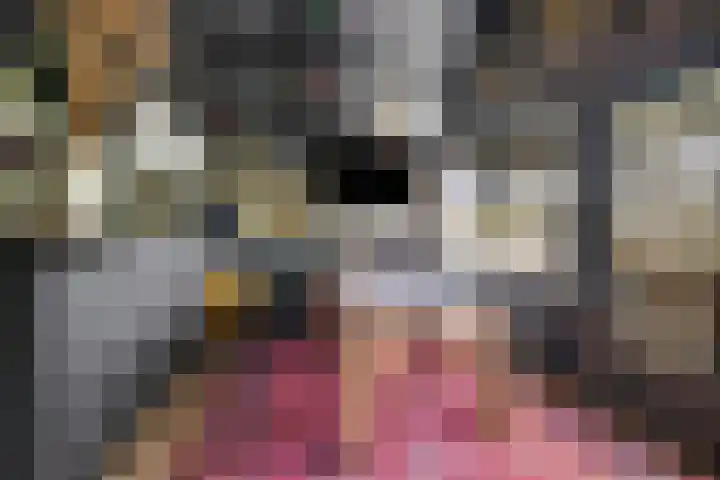 Posthoorn 6 Barger-Compascuum thumbnail 61