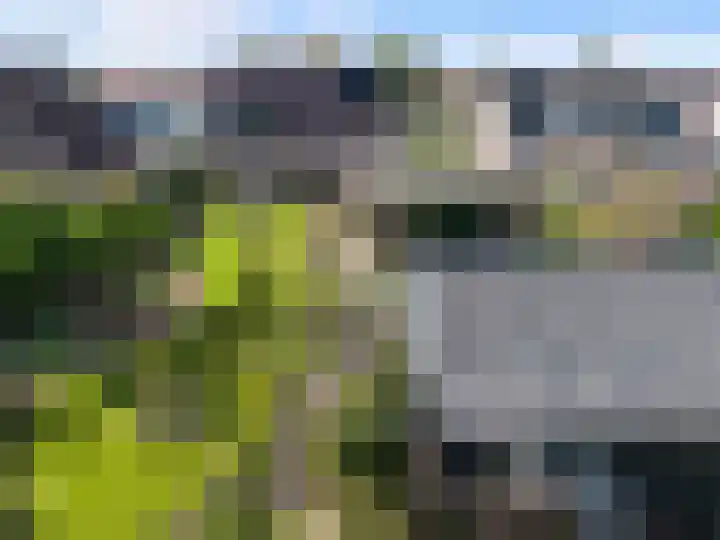 Posthoorn 6 Barger-Compascuum thumbnail 62